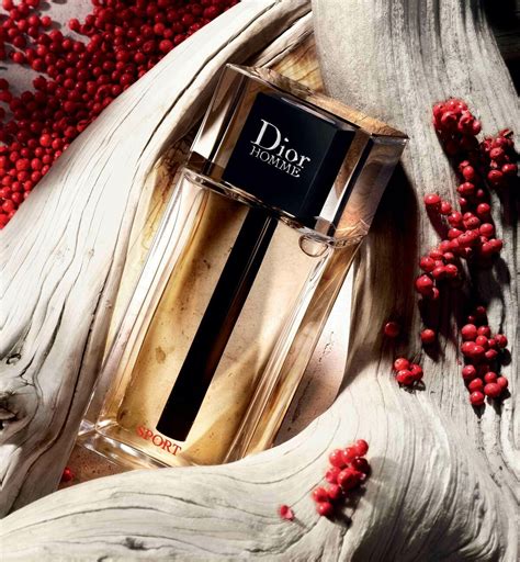 dior basket homme 2021|christian dior homme sport.